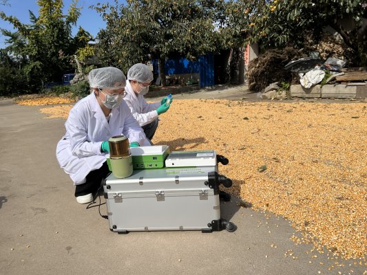 科技赋能农业 威海海洋职业学院教师研发玉米“解毒”新技术，校企合作助力秋粮减损增效